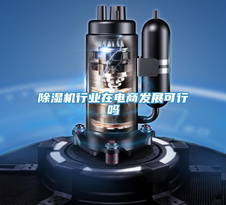 除濕機(jī)行業(yè)在電商發(fā)展可行嗎