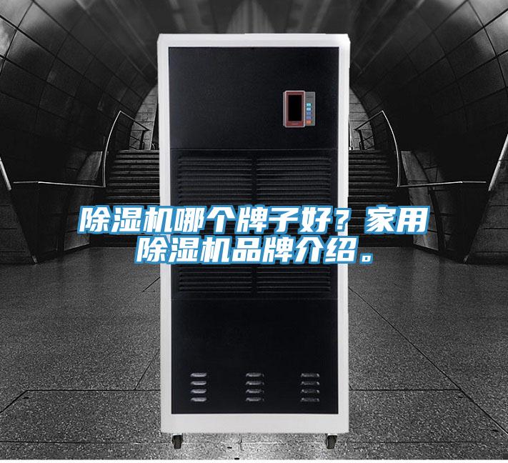 除濕機哪個牌子好？家用除濕機品牌介紹。