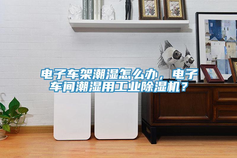 電子車架潮濕怎么辦，電子車間潮濕用工業(yè)除濕機？
