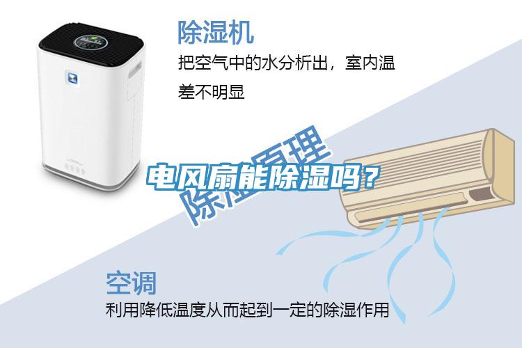 電風扇能除濕嗎？