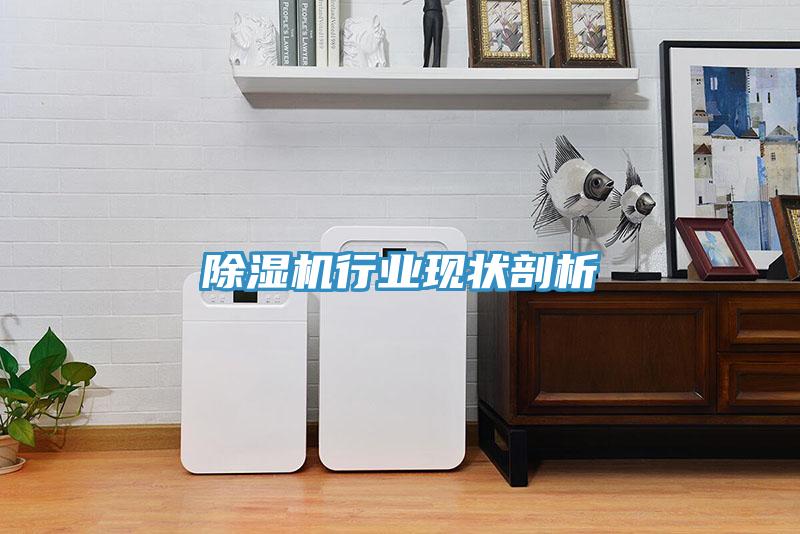 除濕機行業現狀剖析