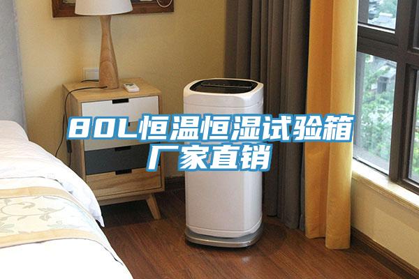80L恒溫恒濕試驗(yàn)箱廠家直銷