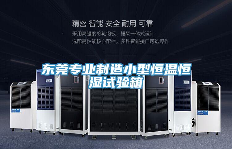 東莞專業(yè)制造小型恒溫恒濕試驗(yàn)箱