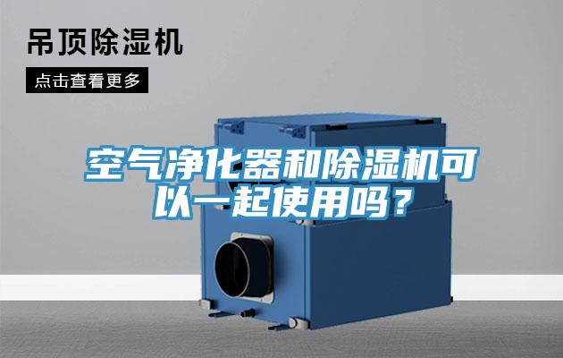 空氣凈化器和除濕機(jī)可以一起使用嗎?