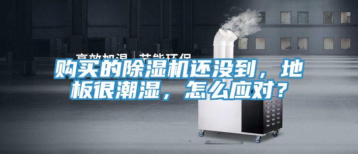 購買的除濕機還沒到，地板很潮濕，怎么應對？