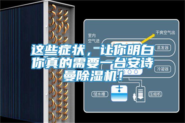 這些癥狀，讓你明白你真的需要一臺(tái)安詩曼除濕機(jī)！