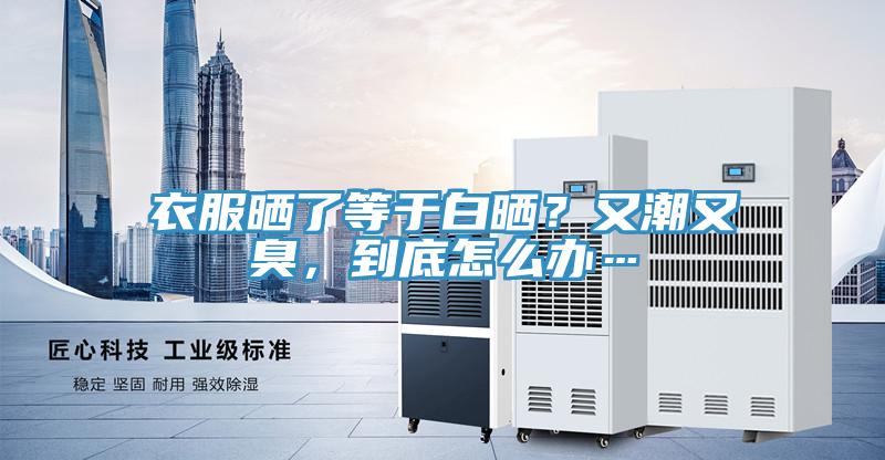 衣服曬了等于白曬?又潮又臭,到底怎么辦…