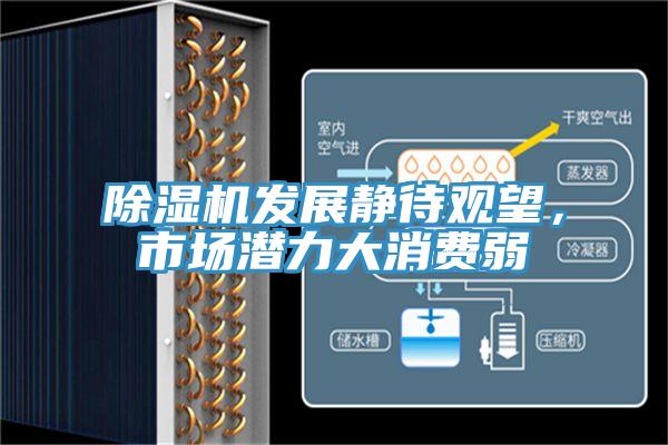 除濕機發展靜待觀望，市場潛力大消費弱