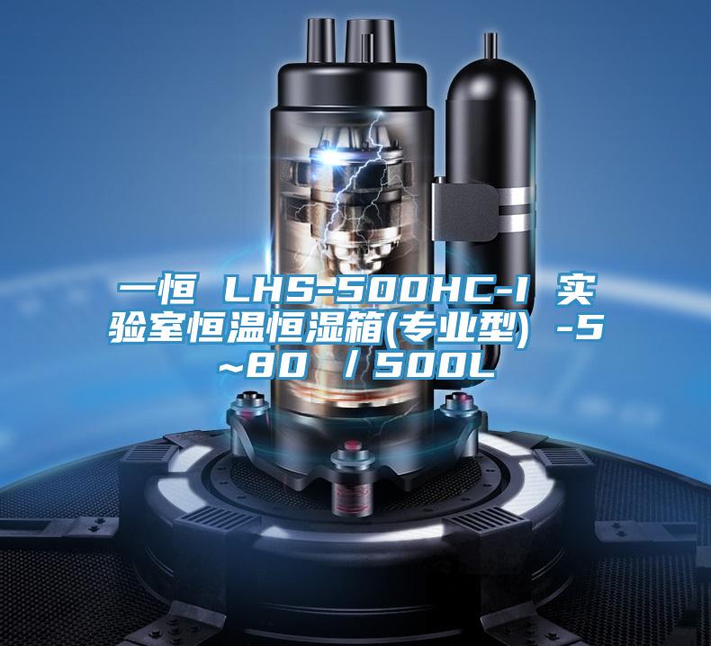 一恒 LHS-500HC-I 實驗室恒溫恒濕箱(專業型) -5~80℃／500L
