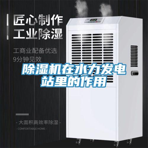 除濕機在水力發電站里的作用