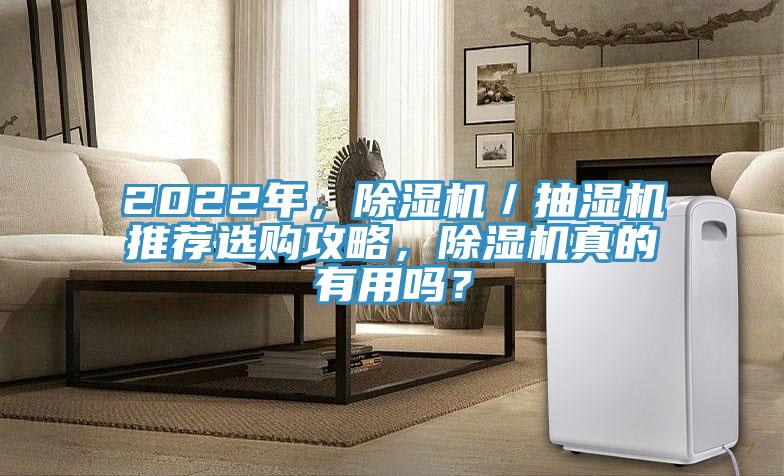 2022年，除濕機／抽濕機推薦選購攻略，除濕機真的有用嗎？