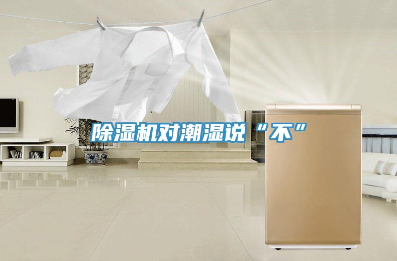除濕機對潮濕說“不”