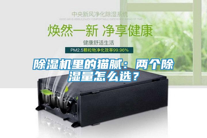 除濕機(jī)里的貓膩:兩個(gè)除濕量怎么選?