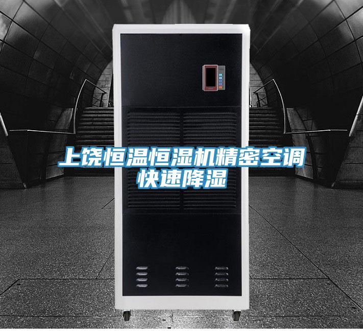 上饒恒溫恒濕機精密空調(diào)快速降濕
