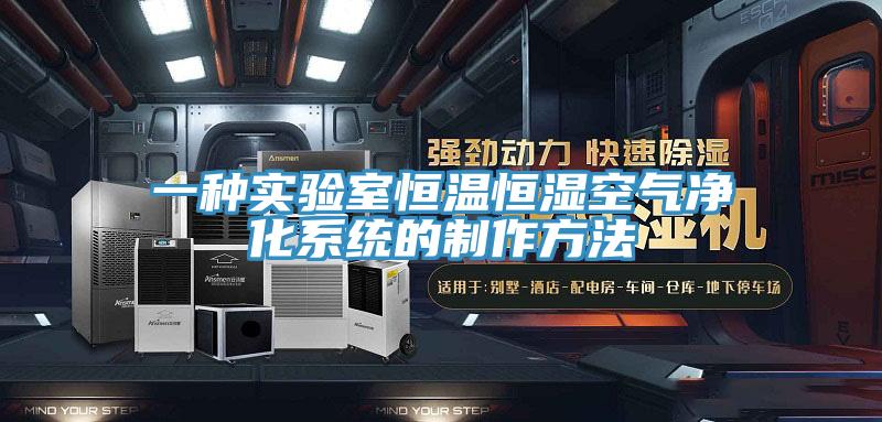 一種實驗室恒溫恒濕空氣凈化系統的制作方法