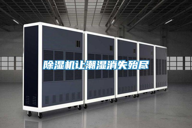 除濕機讓潮濕消失殆盡