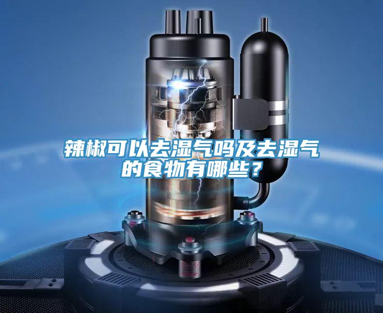 辣椒可以去濕氣嗎及去濕氣的食物有哪些？