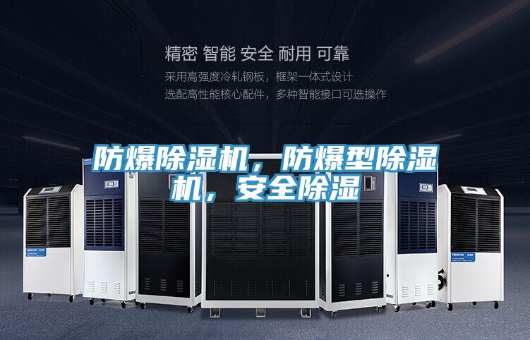 防爆除濕機(jī)，防爆型除濕機(jī)，安全除濕