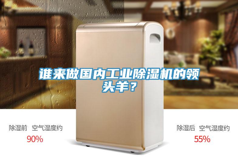 誰來做國內工業除濕機的領頭羊？