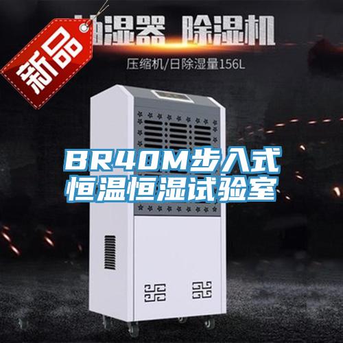 BR40M步入式恒溫恒濕試驗室