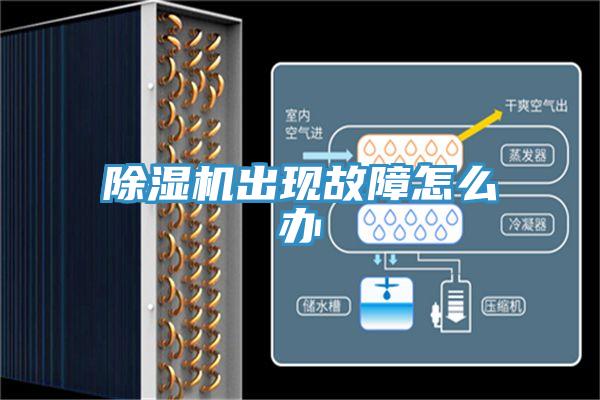 除濕機出現故障怎么辦