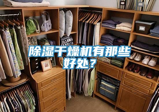 除濕干燥機有那些好處？