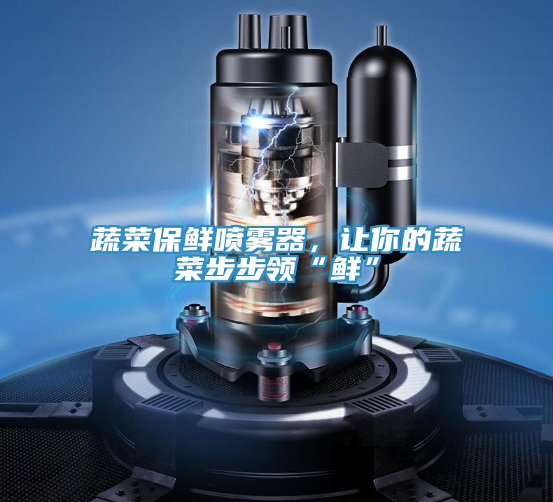蔬菜保鮮噴霧器，讓你的蔬菜步步領“鮮”
