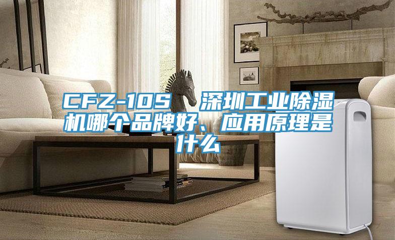 CFZ-10S  深圳工業除濕機哪個品牌好、應用原理是什么