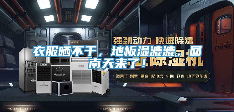 衣服曬不干，地板濕漉漉，回南天來了！