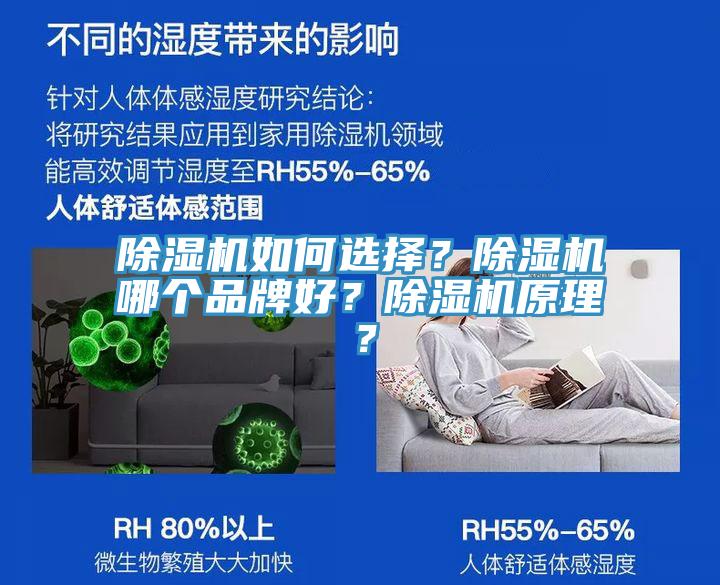 除濕機如何選擇?除濕機哪個品牌好?除濕機原理?