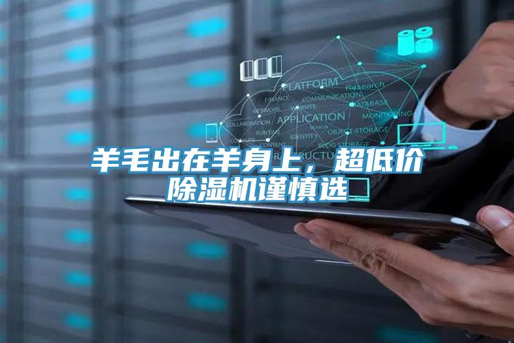 羊毛出在羊身上，超低價除濕機謹慎選