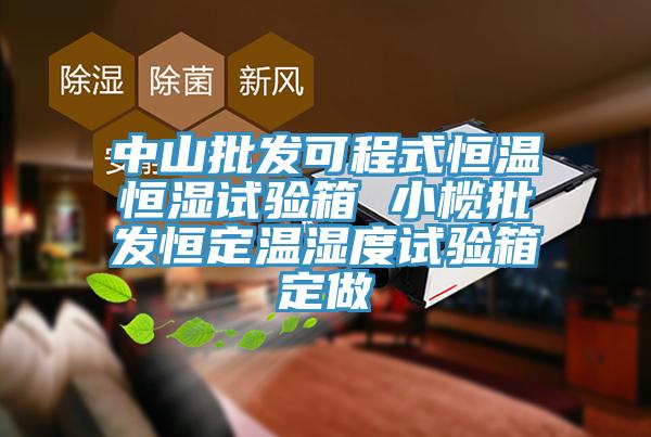 中山批發可程式恒溫恒濕試驗箱 小欖批發恒定溫濕度試驗箱定做