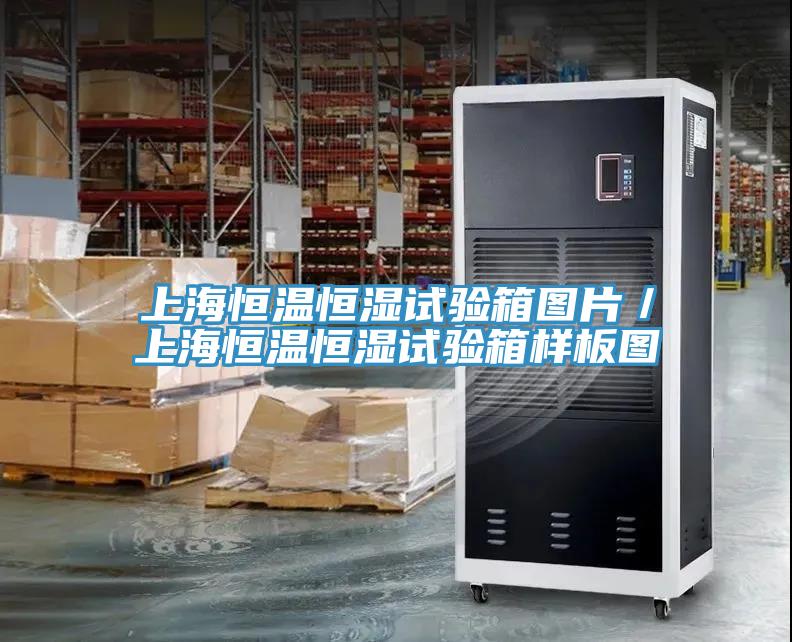上海恒溫恒濕試驗箱圖片/上海恒溫恒濕試驗箱樣板圖