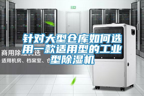 針對大型倉庫如何選用一款適用型的工業型除濕機