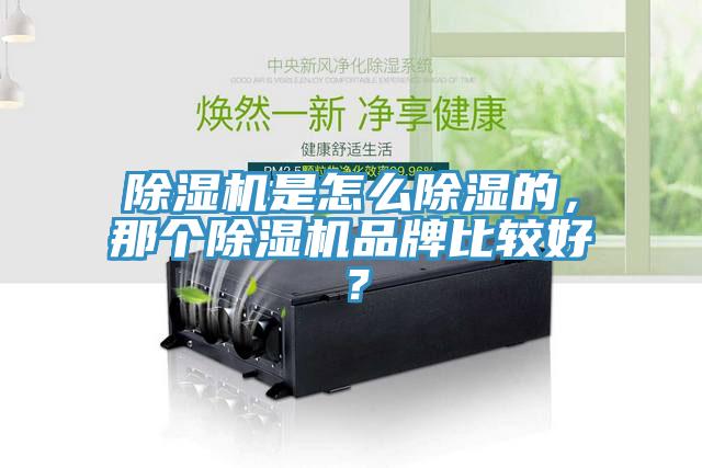 除濕機是怎么除濕的,那個除濕機品牌比較好?