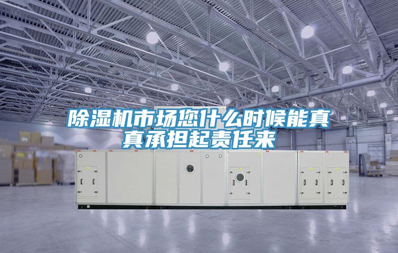 除濕機市場您什么時候能真真承擔(dān)起責(zé)任來