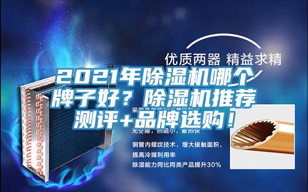 2021年除濕機哪個牌子好？除濕機推薦測評+品牌選購！