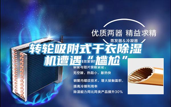 轉輪吸附式干衣除濕機遭遇“尷尬”