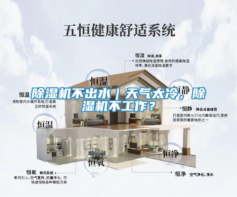 除濕機不出水｜天氣太冷，除濕機不工作？