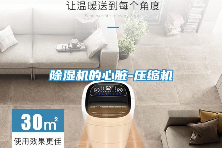 除濕機的心臟-壓縮機