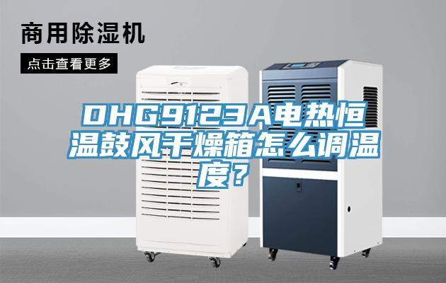 DHG9123A電熱恒溫鼓風干燥箱怎么調溫度？