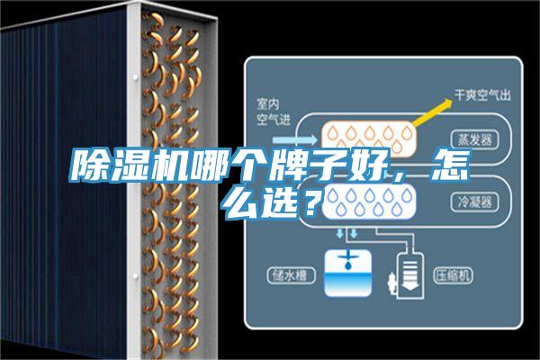 除濕機哪個牌子好，怎么選？