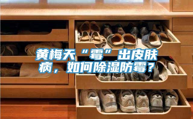黃梅天“霉”出皮膚病，如何除濕防霉？