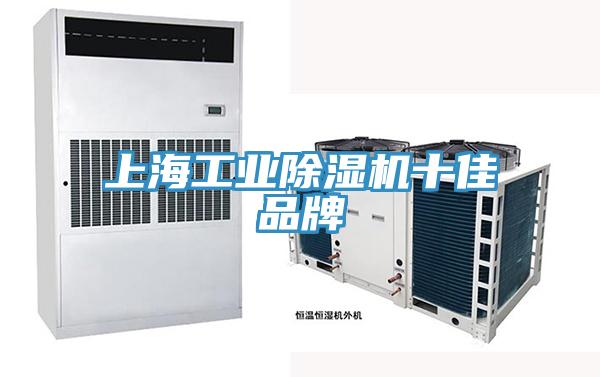 上海工業(yè)除濕機(jī)十佳品牌