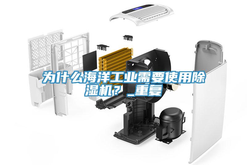 為什么海洋工業需要使用除濕機？_重復