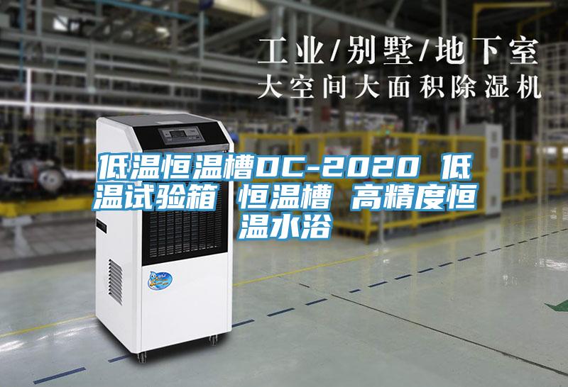 低溫恒溫槽DC-2020 低溫試驗(yàn)箱 恒溫槽 高精度恒溫水浴
