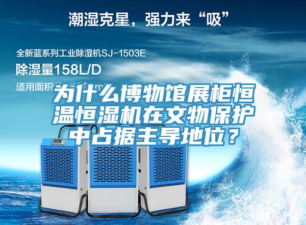 為什么博物館展柜恒溫恒濕機在文物保護中占據主導地位？