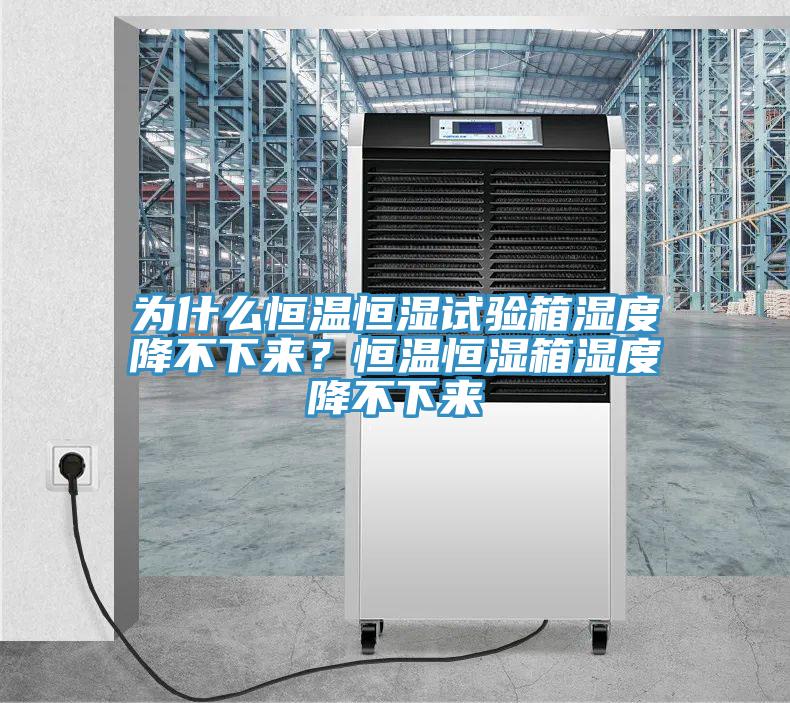 為什么恒溫恒濕試驗箱濕度降不下來？恒溫恒濕箱濕度降不下來
