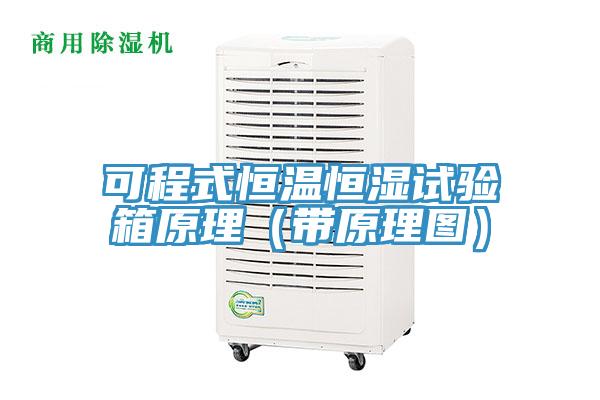 可程式恒溫恒濕試驗箱原理（帶原理圖）
