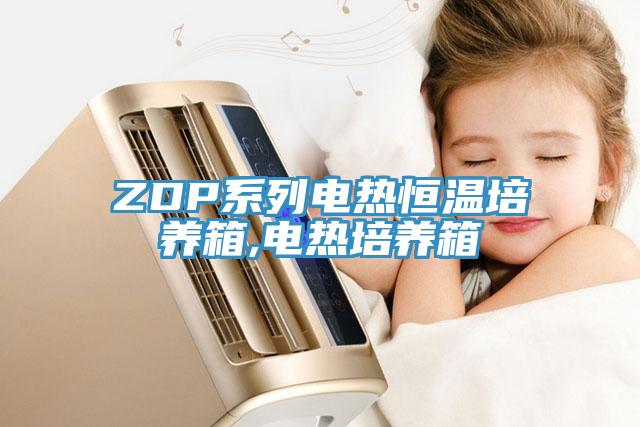 ZDP系列電熱恒溫培養(yǎng)箱,電熱培養(yǎng)箱